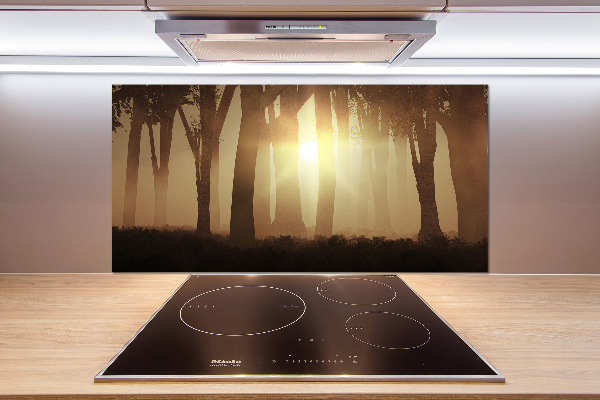 Panel dekor szkło Mgła w lesie