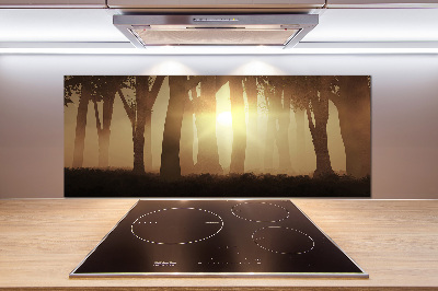 Spatplaat keuken Mist in het bos