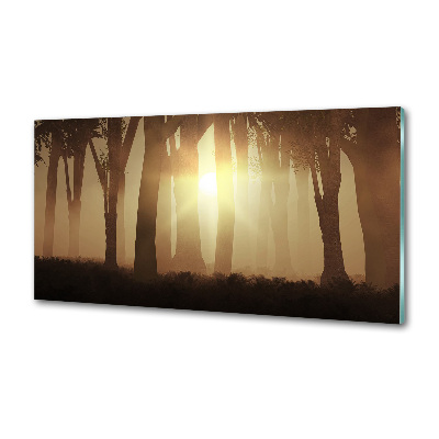 Spatplaat keuken Mist in het bos