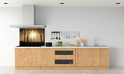 Spatplaat keuken Mist in het bos