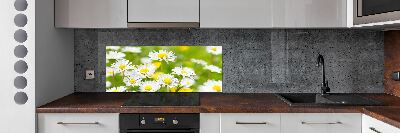 Keuken achterwand Madeliefjes