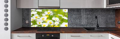 Panel między meble w kuchni Stokrotki