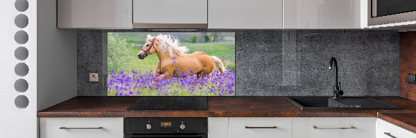 Keuken achterwand Een paard in een lavendelveld