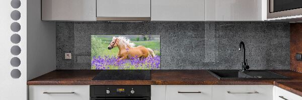 Keuken achterwand Een paard in een lavendelveld