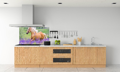 Keuken achterwand Een paard in een lavendelveld