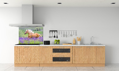 Keuken achterwand Een paard in een lavendelveld