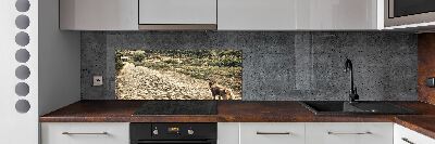 Glazen achterwand keuken Twee honden op een heuvel