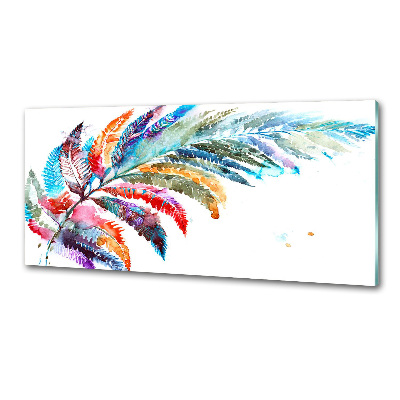 Panel do kuchni Kolorowe pióro