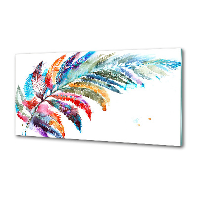 Panel do kuchni Kolorowe pióro
