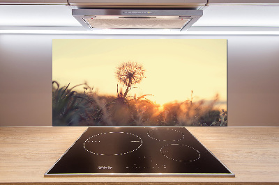 Glazen achterwand keuken Paardebloem