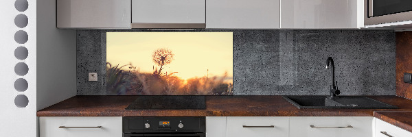 Panel dekor szkło Dmuchawiec