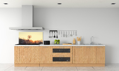 Glazen achterwand keuken Paardebloem
