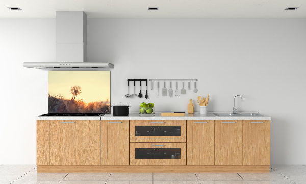Glazen achterwand keuken Paardebloem