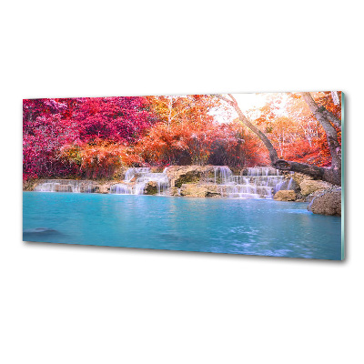 Spatscherm keuken Waterval in het bos