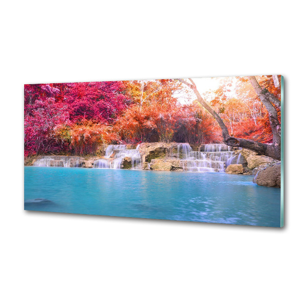 Spatscherm keuken Waterval in het bos