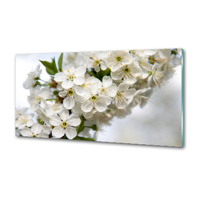 Achterwand keuken Kersenbloesems