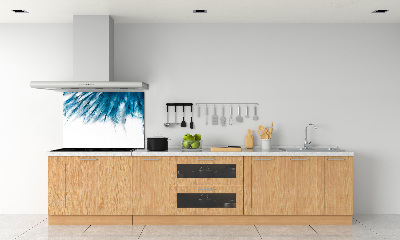 Achterwand keuken Blauwe veren