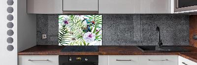 Achterwand keuken Tropische toekan