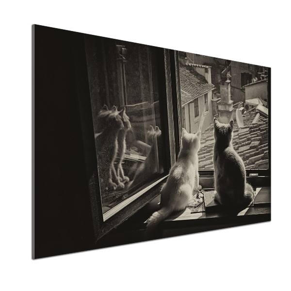 Panel do kuchni Koty przy oknie