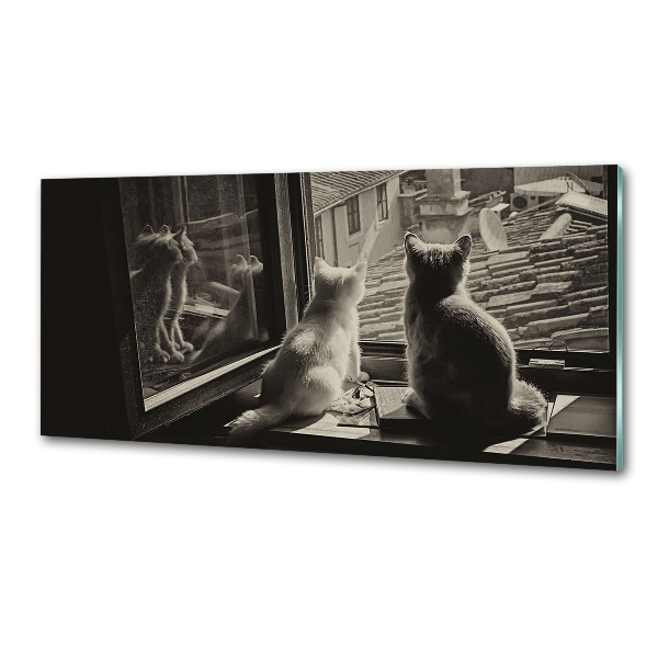 Panel do kuchni Koty przy oknie