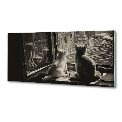 Panel do kuchni Koty przy oknie