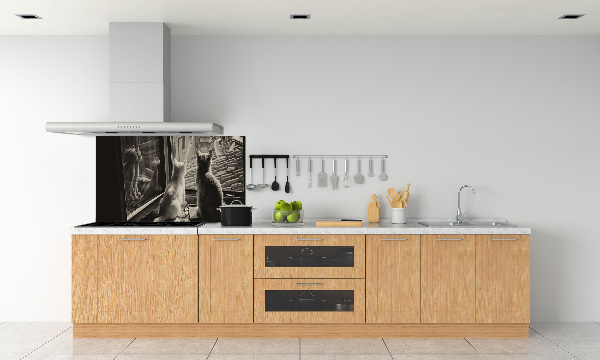 Panel do kuchni Koty przy oknie