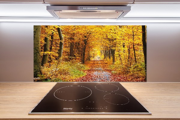 Glazen achterwand keuken Bos in de herfst