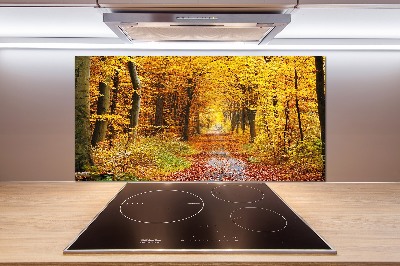 Glazen achterwand keuken Bos in de herfst