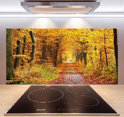 Glazen achterwand keuken Bos in de herfst