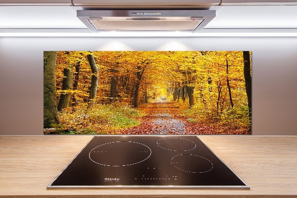 Glazen achterwand keuken Bos in de herfst