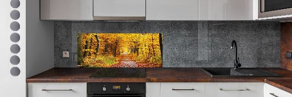Glazen achterwand keuken Bos in de herfst