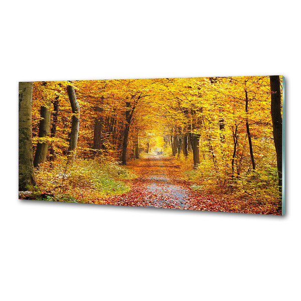 Glazen achterwand keuken Bos in de herfst