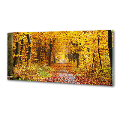 Panel dekor szkło Las jesienią