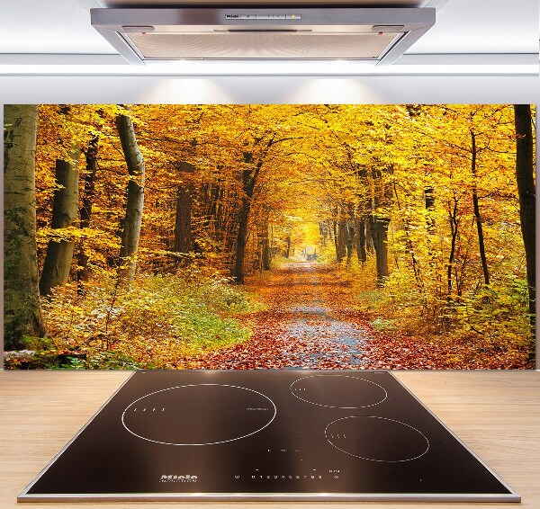 Glazen achterwand keuken Bos in de herfst