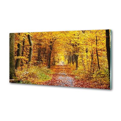 Panel dekor szkło Las jesienią