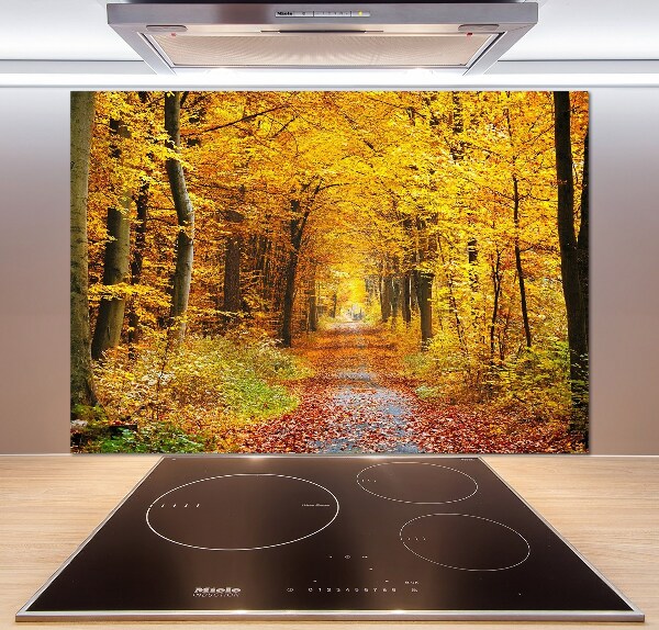 Glazen achterwand keuken Bos in de herfst
