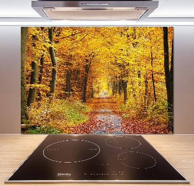 Glazen achterwand keuken Bos in de herfst
