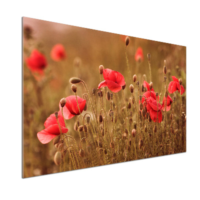 Panel dekor szkło Maki tryptyk