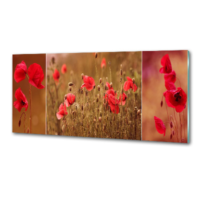 Panel dekor szkło Maki tryptyk