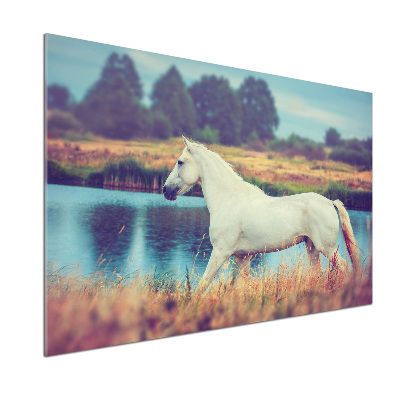 Keuken achterwand Wit Paardenmeer