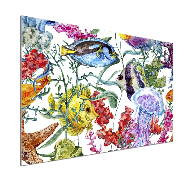 Panel do kuchni Rafa koralowa