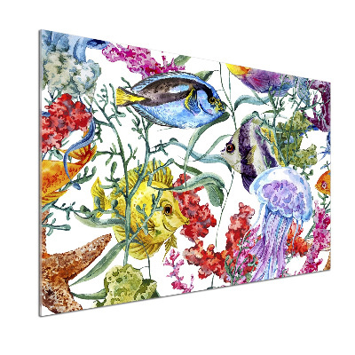 Keuken achterwand Koraalrif