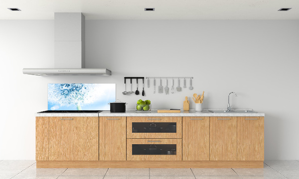 Panel dekor szkło Dmuchawiec