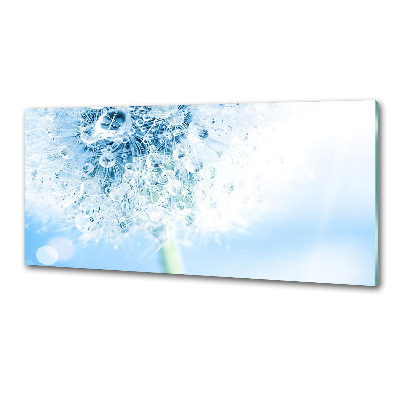 Keuken achterwand Paardebloem