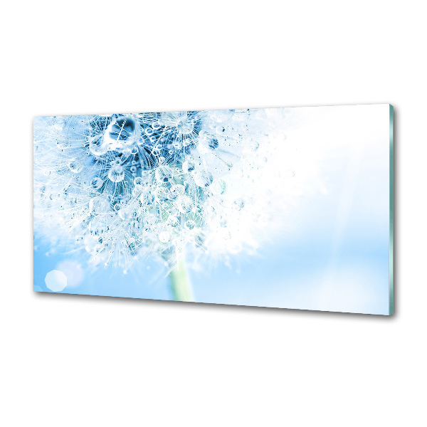 Panel dekor szkło Dmuchawiec