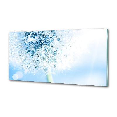 Panel dekor szkło Dmuchawiec