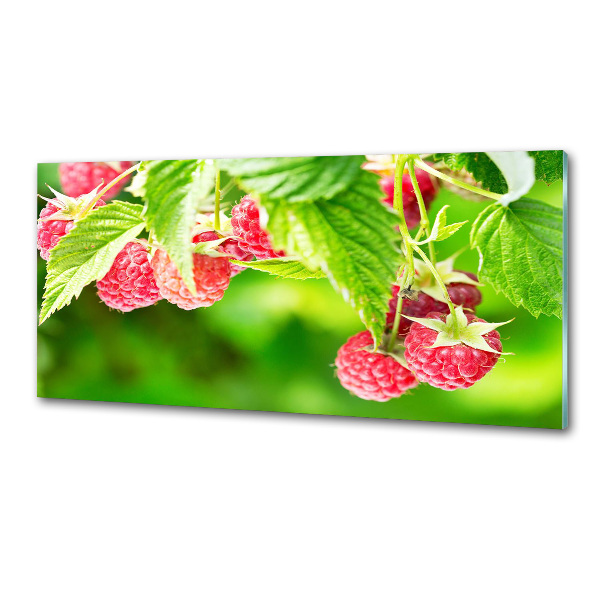 Spatscherm keuken Frambozen in de tuin