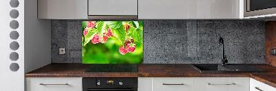 Spatscherm keuken Frambozen in de tuin