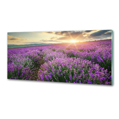 Panel dekor szkło Pole lawendy
