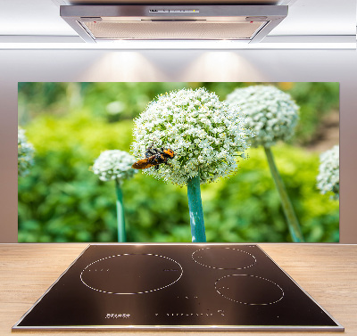 Spatscherm keuken Bloeiende knoflook